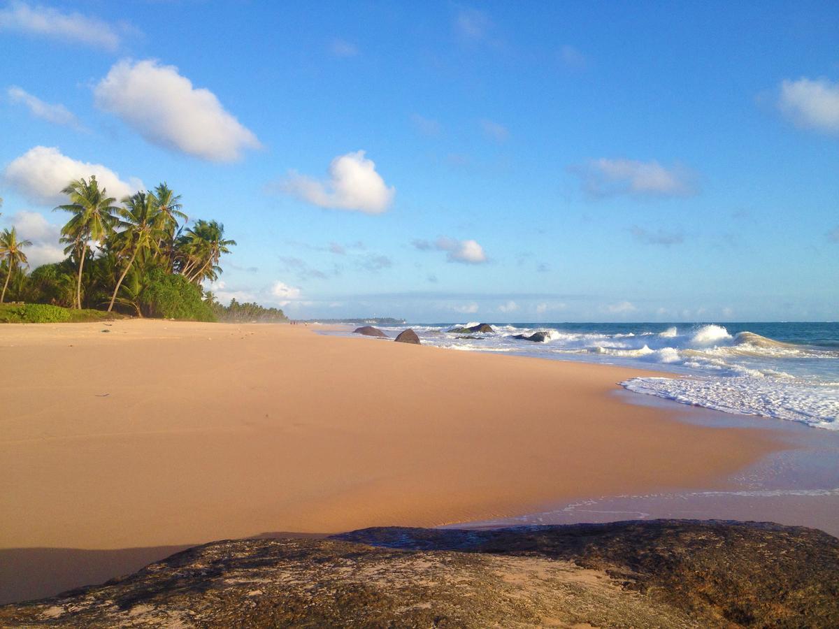 New Shangrela Beach Resort Ambalangoda  Bagian luar foto